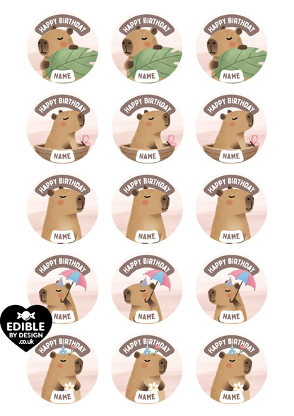 Capybara Theme Birthday Cake Toppers Edible Circles Personalised Name and Age Matching Stickers Balloon Invitations Pack