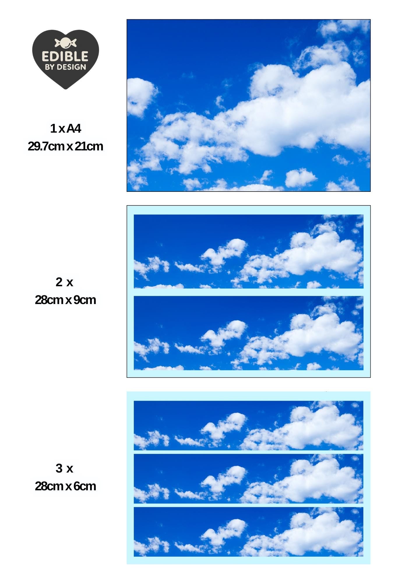 Floral & Botanical - Ribbon Border Edging for Cake in Icing