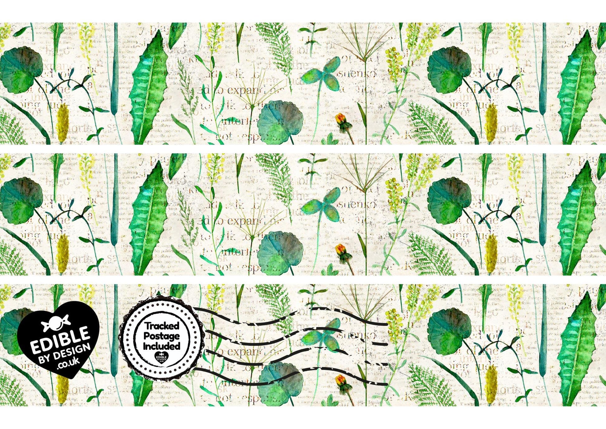 Floral & Botanical - Ribbon Border Edging for Cake in Icing
