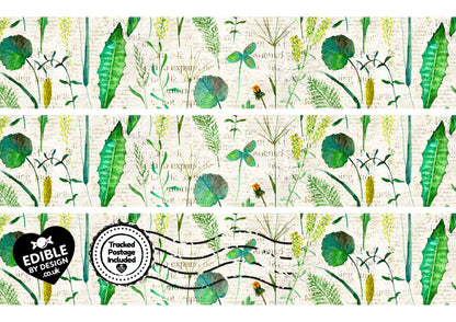 Floral & Botanical - Ribbon Border Edging for Cake in Icing