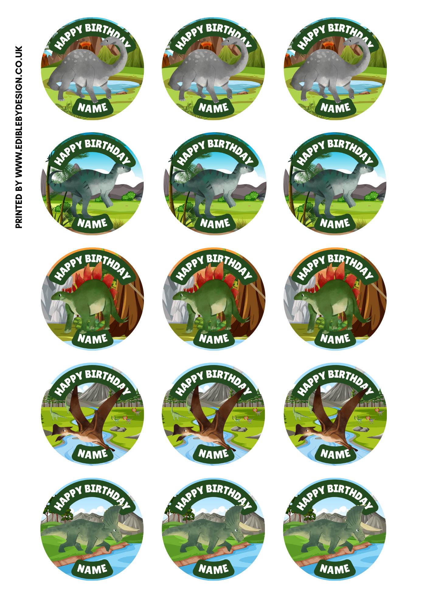 Personalised Dinosaur Happy Birthday Cake Toppers matching Invitations Stickers Balloon Party Pack