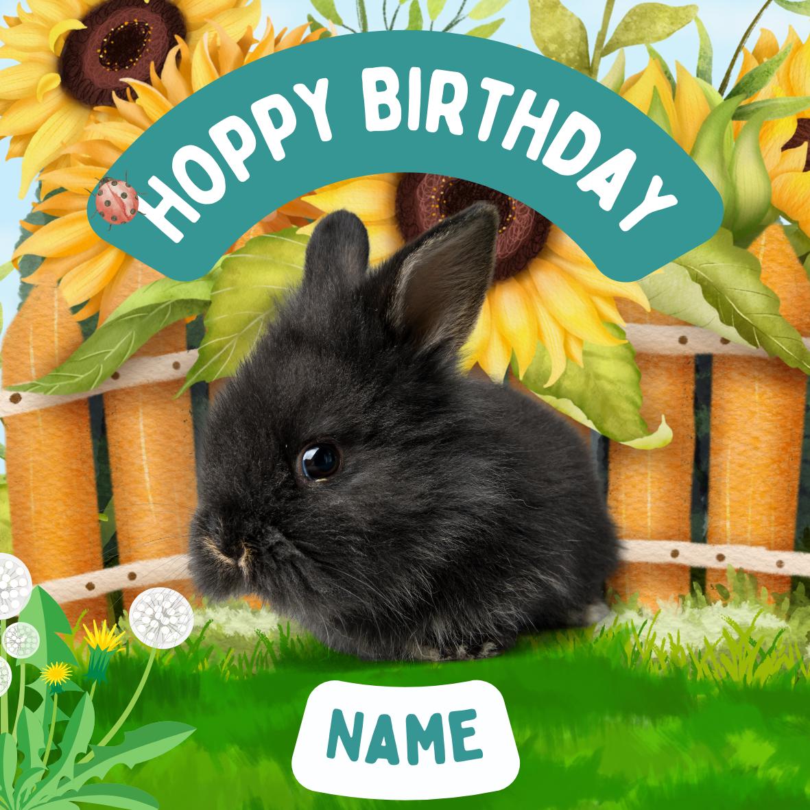 Personalised Rabbit Garden Cake Toppers: Edible Icing or Wafer matching Invitations Stickers Balloon Party Pack