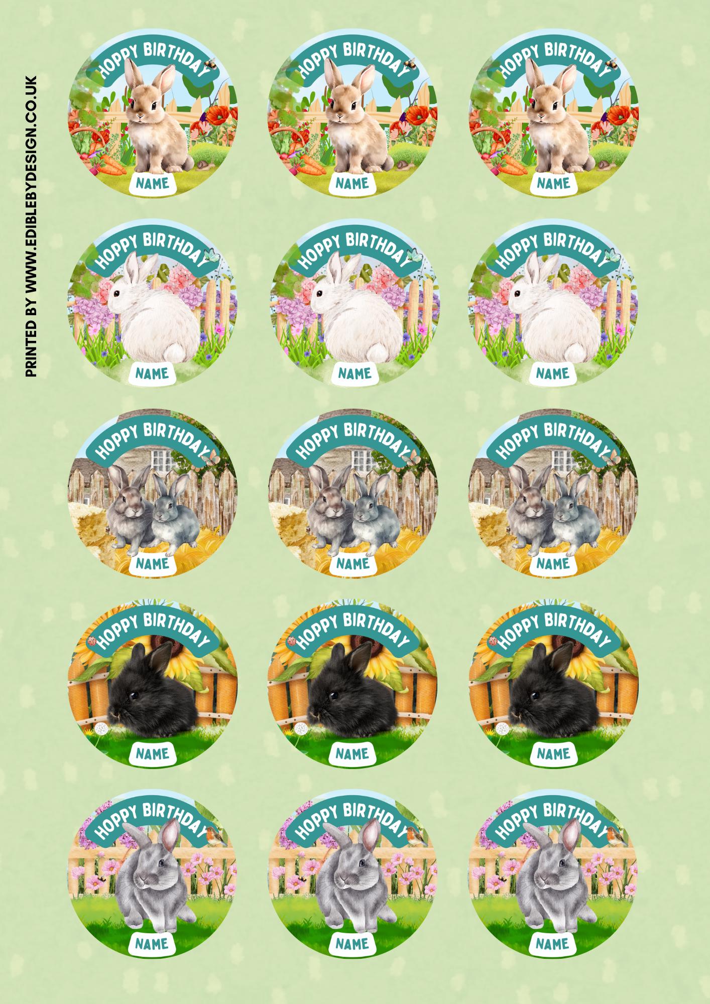 Personalised Rabbit Garden Cake Toppers: Edible Icing or Wafer matching Invitations Stickers Balloon Party Pack