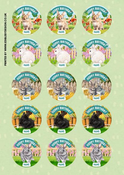 Personalised Rabbit Garden Cake Toppers: Edible Icing or Wafer matching Invitations Stickers Balloon Party Pack